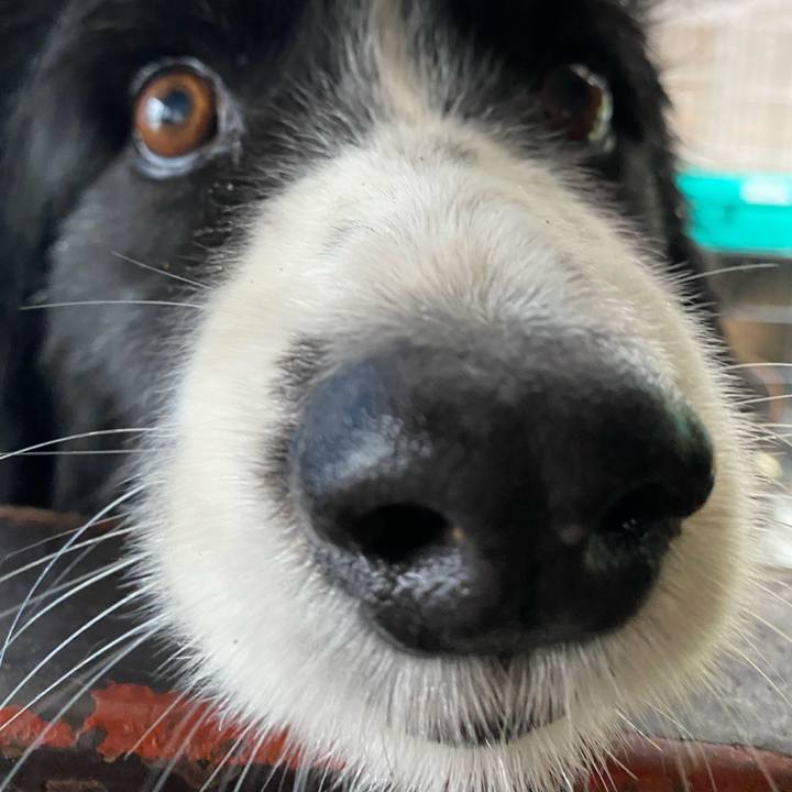 F2836bf5 f481 4391 b1ad c17445ee8cfc 1654934116990