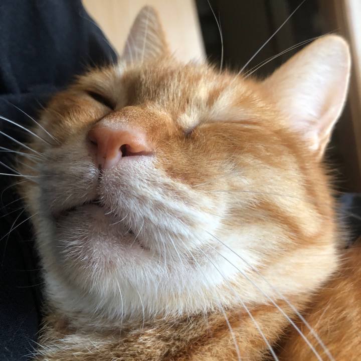 F2837fbf 03dd 49bb b309 e800d549cad8 1730503534869