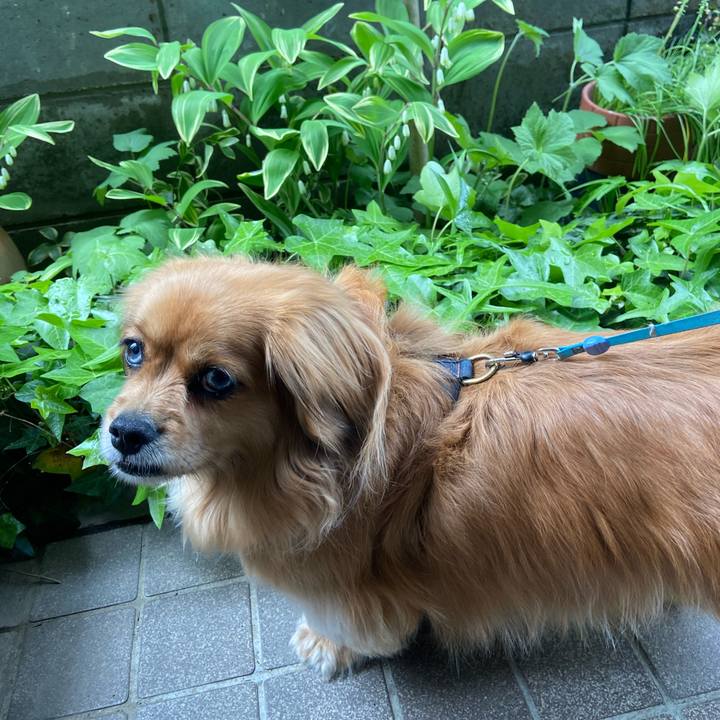 F28395ed 0a11 4cca a743 4c7755aee7a4 1618712110011