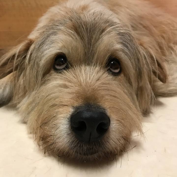 F283b673 83e2 4c0d b00c 53c766182456 1558324403438