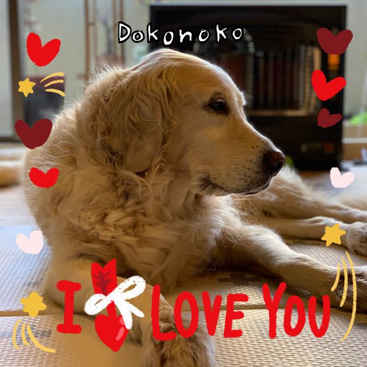 F283b696 22a9 4e83 86b1 204eb74e95f8 1706760745392