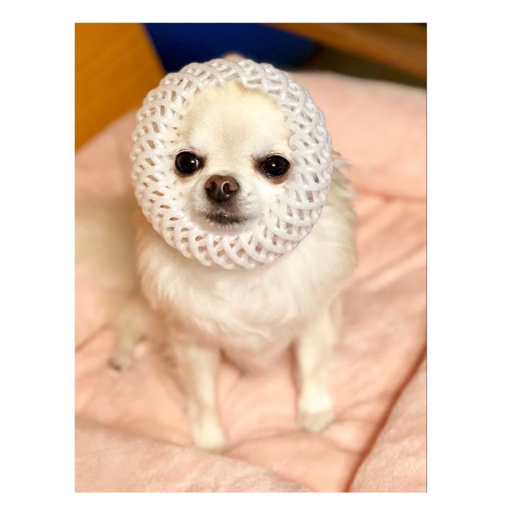 F283be65 d62a 4e95 bfa4 1fd07125b99d 1534253877810