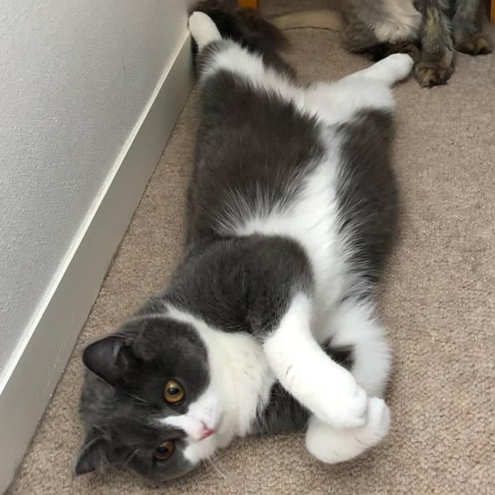 F283d97a cba8 4fed a4dd c9f5f261e901 1526474380787