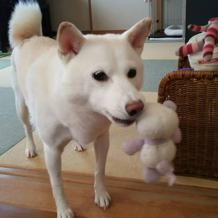 F284535c b97d 44b5 973a 97e768e5a280 1539487241740