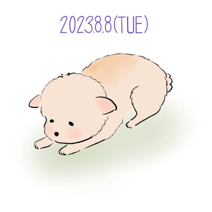F284551b 1b74 4bc5 b575 1d0e235c94c8 1691499584836