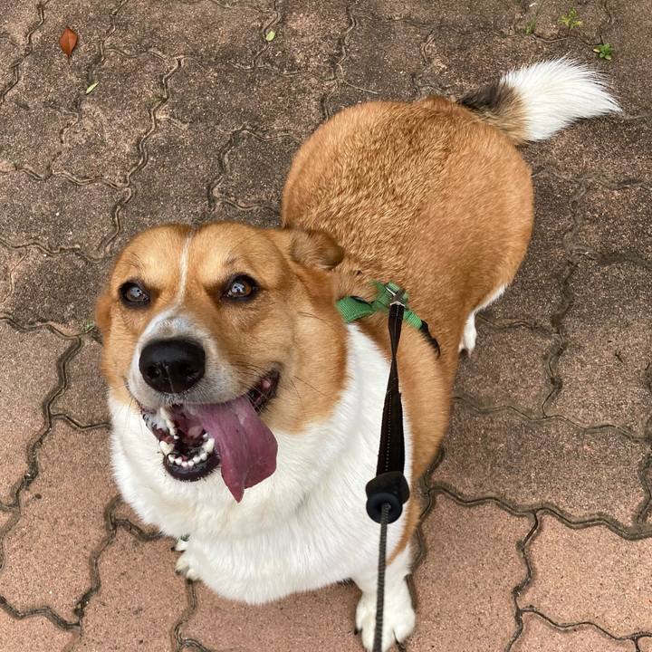 F2847102 e2b3 43cb b8c9 c27f05378c72 1720490424078