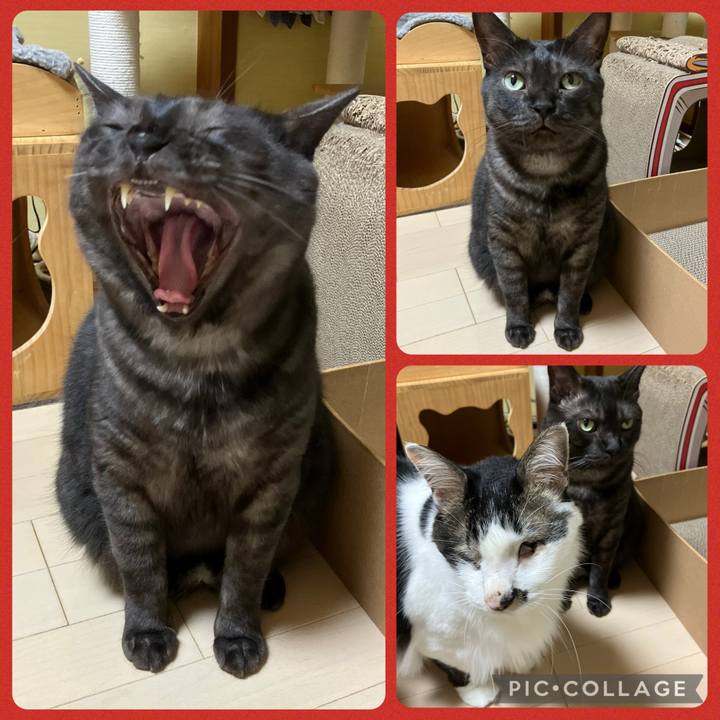 F28495e6 7a29 47f3 939f a332a3906d57 1756646436237