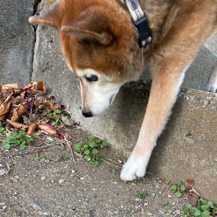 F284d4e0 7b6c 4b24 8f52 2ee09406fcb3 1702797047844