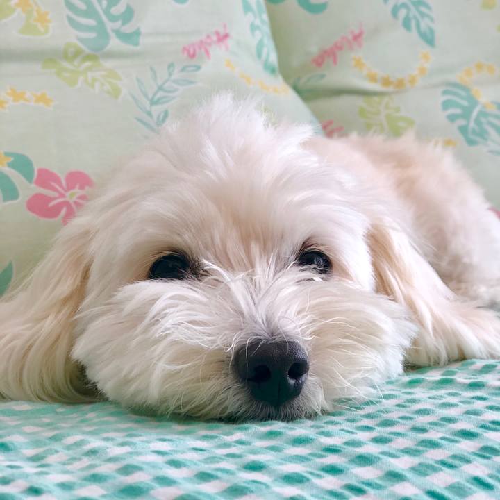 F28504f0 8b40 4ba9 81fe a8512c39b9f6 1569732521578