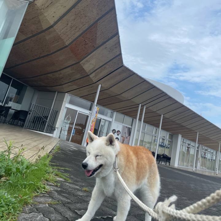 F2852656 1c9f 4fb3 8801 5d206f1f283c 1720961872972