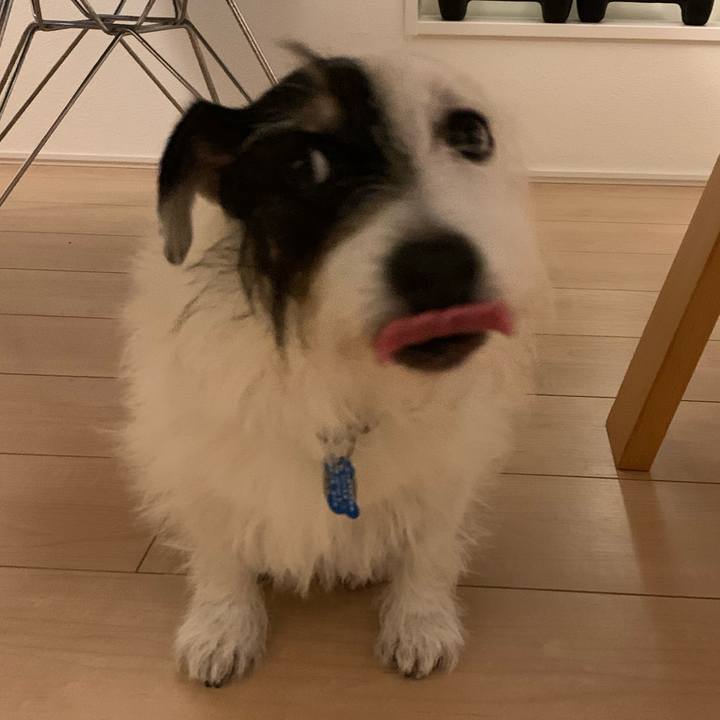 F2852aeb 1f51 44e2 b84b 484b98711967 1728121125242