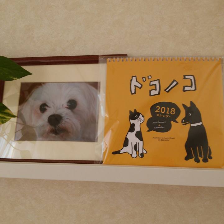 F28545c2 b8b6 4edc 9b80 2ccaa28c139f 1511224504306