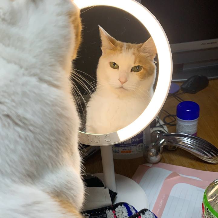 F28549ea 7727 4d6e aa46 cd86a965a06f 1618405661919