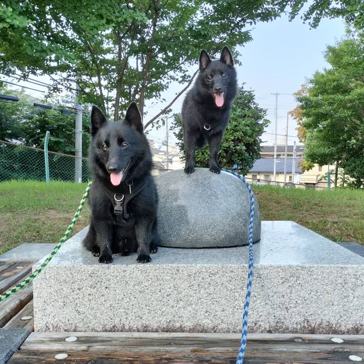 F2854e50 a47c 4cea b6ae 12785fde62a7 1755299647273