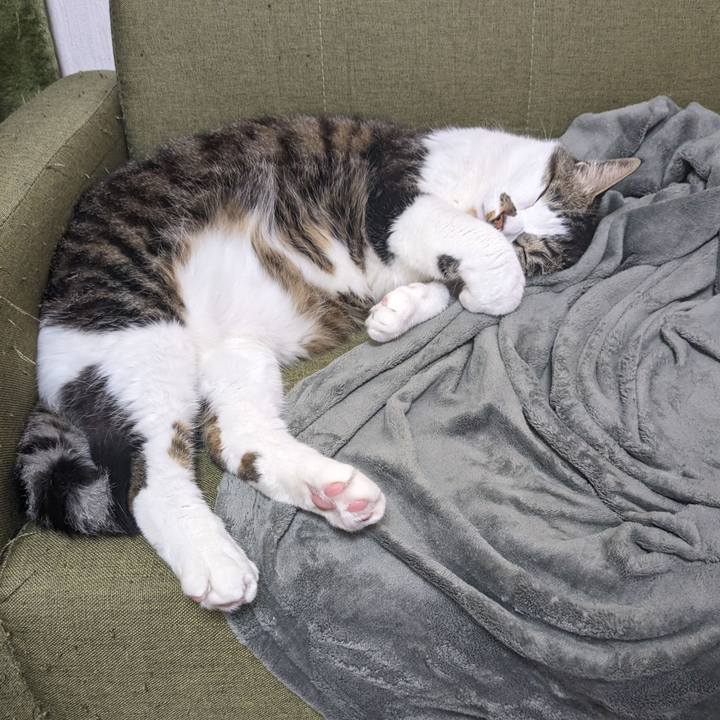 F2857711 483c 4e36 9e5e 8af22489ba9a 1713243381755