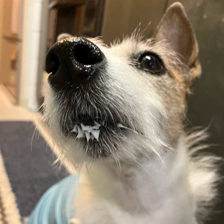 F285aa03 43a3 4455 8d86 a4c2fde71296 1685152669665