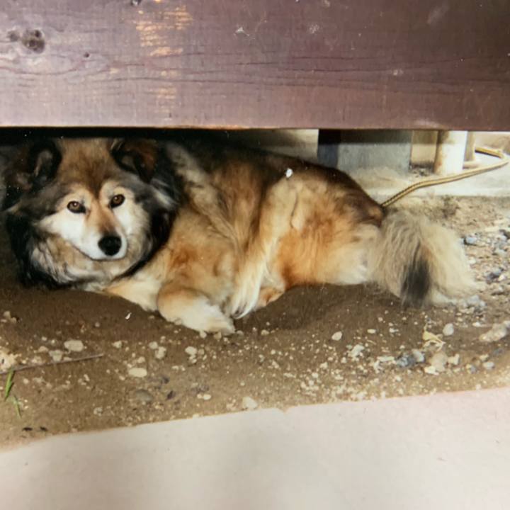 F285f78c eee5 49e4 bf4a caffd8294463 1567879178521