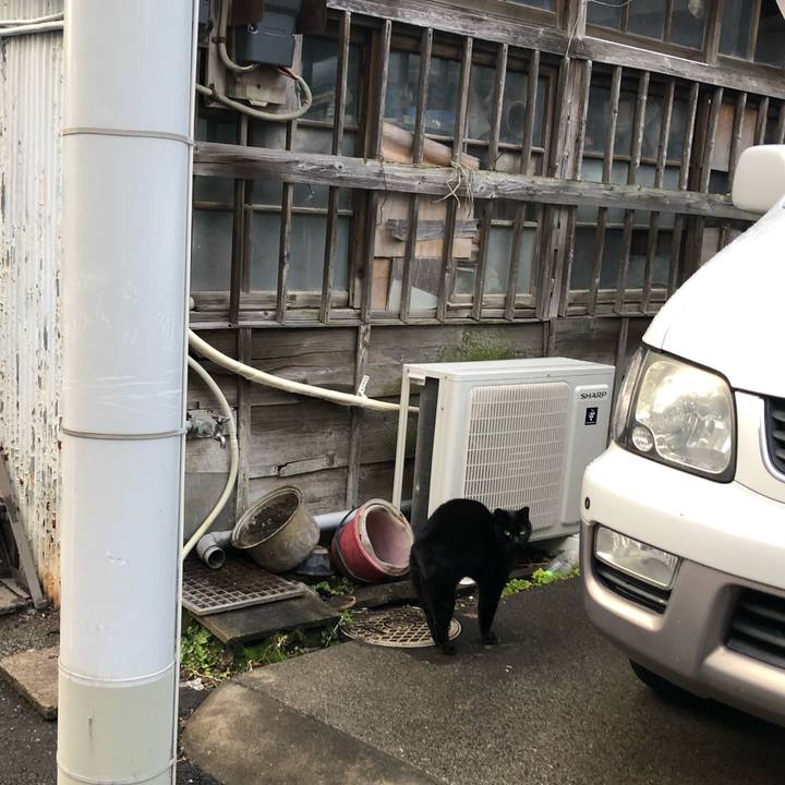 F2860edb 5e8b 46a7 8fbb 3d09265ed4b8 1580971856546