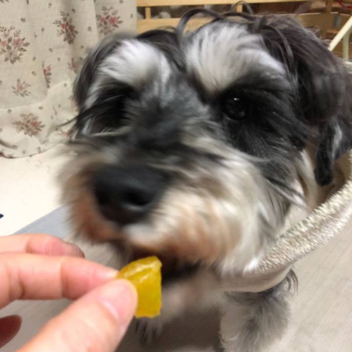 F2861746 5e3a 4e6e a7e4 85c494e8c437 1642596542951