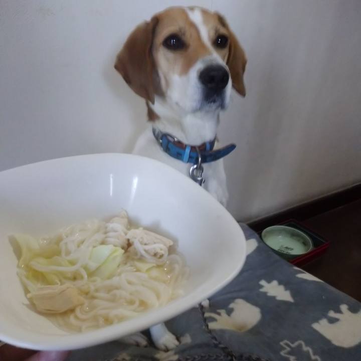 F28647ac 5a94 4ebe 80a1 9570a8d379b6 1611911326194