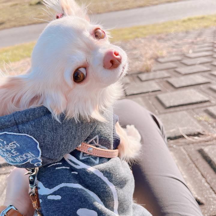 F2864c78 5320 43fa a59c a176b93fe759 1676374914493