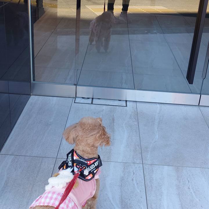 F28650e6 1efd 4e80 8bd3 e2ed40841f59 1740380778297