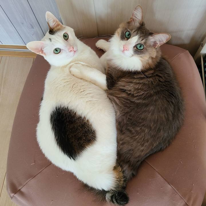 F2865be1 1a67 4487 9dd9 2a5557dc5328 1675142058295