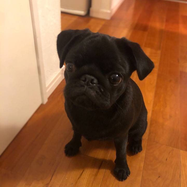 F28664b1 bc31 438d 8e73 c59aa20b7a5f 1605773390206