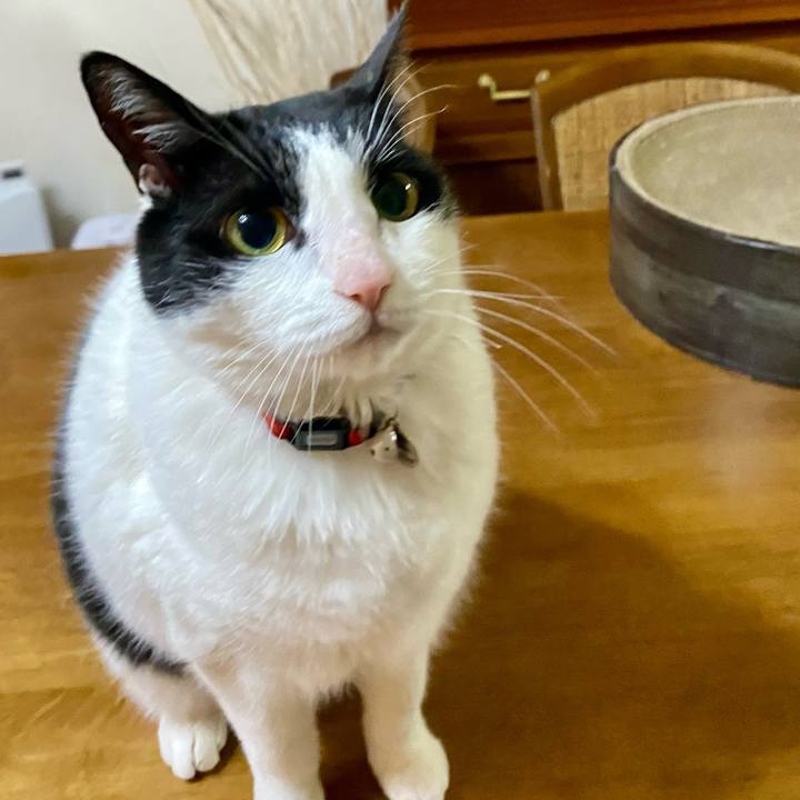 F2866807 378b 473a a203 c71ba62c3005 1747476386920