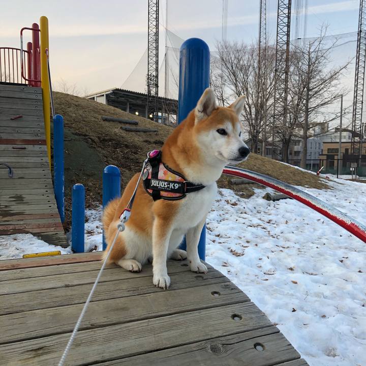 F286861f 4ad7 450a 91fe 58270209e4f7 1585218772454