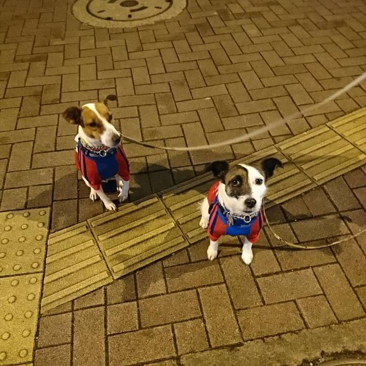 F286b606 5997 42e8 9597 5b5b4626f5dd 1574948638920