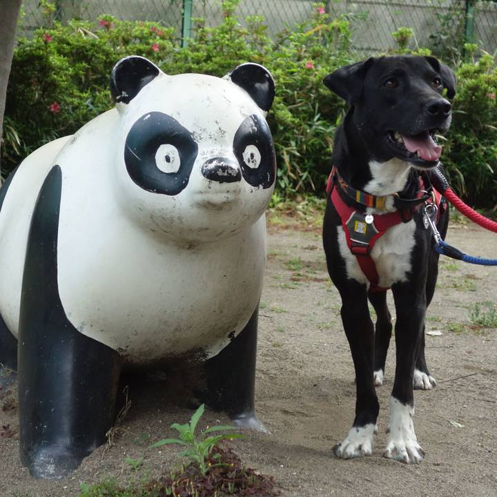 F286c9e2 cb41 4ace 994f d3a9d2cda725 1589503982914