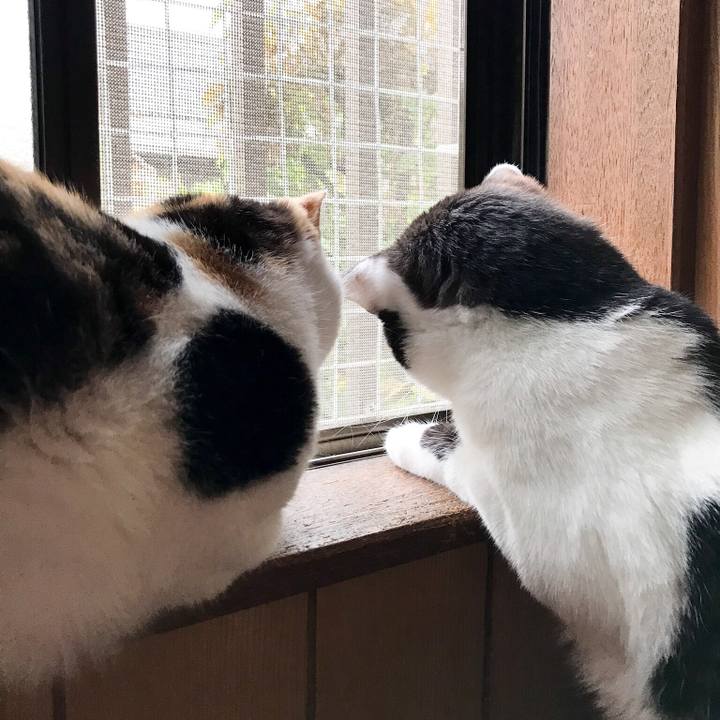 F286cb34 e3ef 47f0 a937 c82731400716 1527041528725