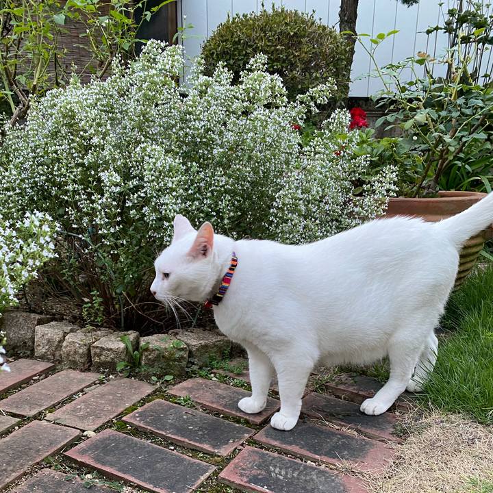 F286cb97 9dc2 4b1c 9ca7 a15edf31f906 1630336684569