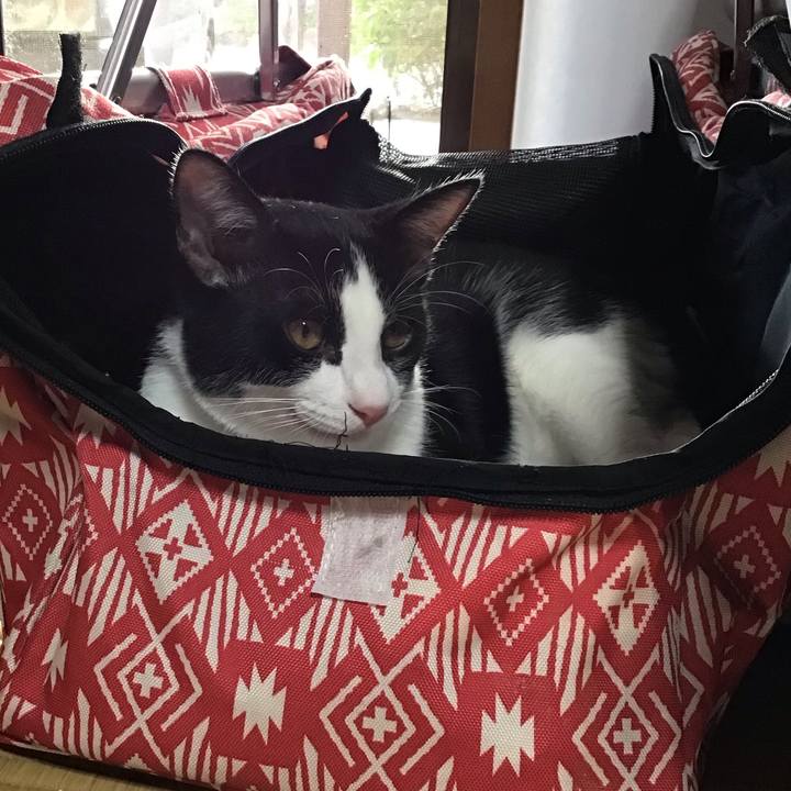 F286f7b6 ac57 4104 80af 30b1f0dcdc63 1633164444507