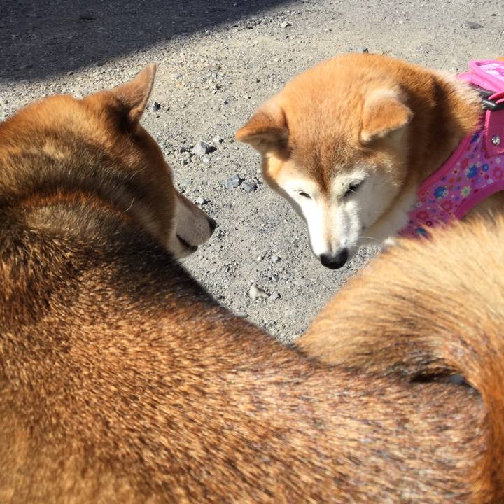 F2872c4b 1d11 4479 a564 7fa67425139a 1605926609547