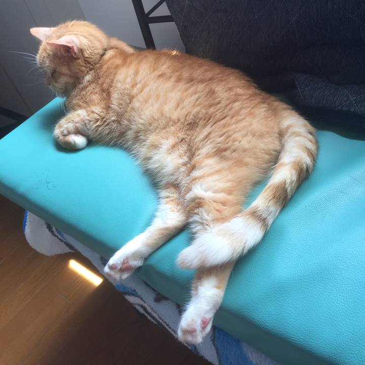 F2876025 adc2 4349 9e1d f3855c64ddf0 1556679167727