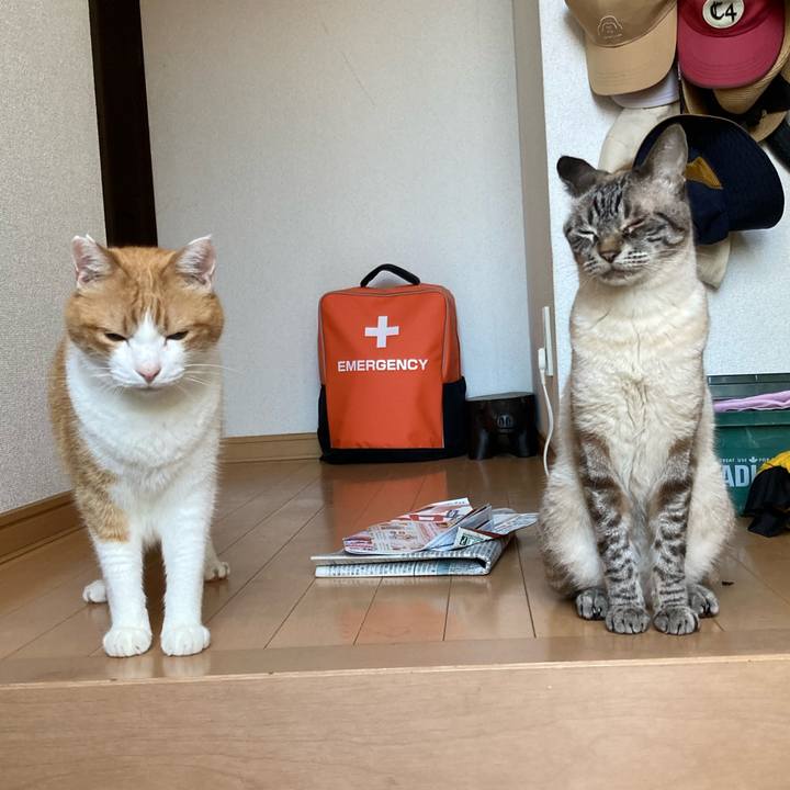 F2876ce2 b568 459e 8f5b 3b076f34e2c7 1759451660912