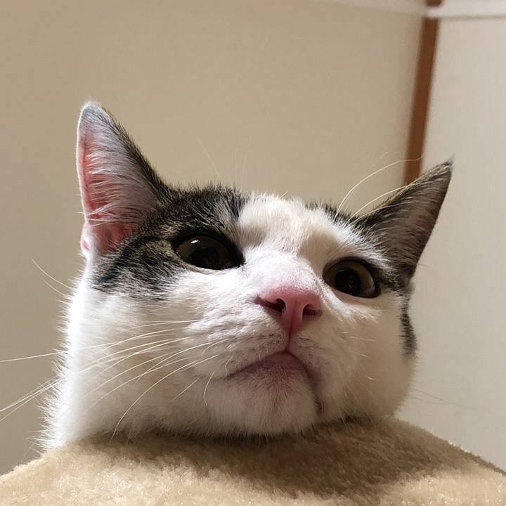 F287d6ca 431d 4fbe b569 50883b649a2e 1583329595680