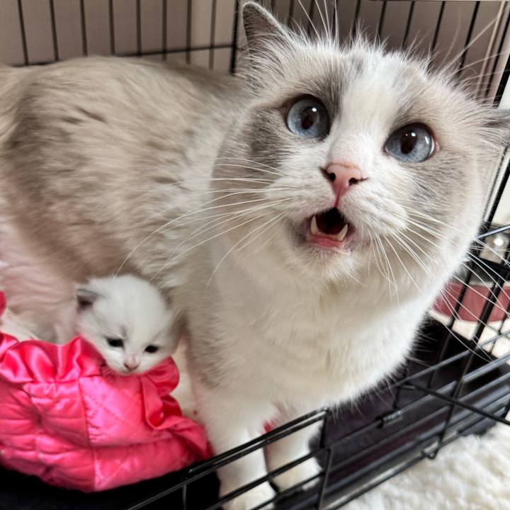 F287d8c8 e25d 4a02 8647 7fd4c49fb0e0 1749850575414