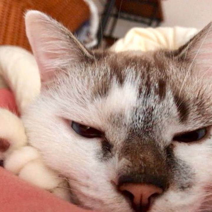 F287f36b 4e1f 44f1 bb03 c29845ddec78 1539989040253