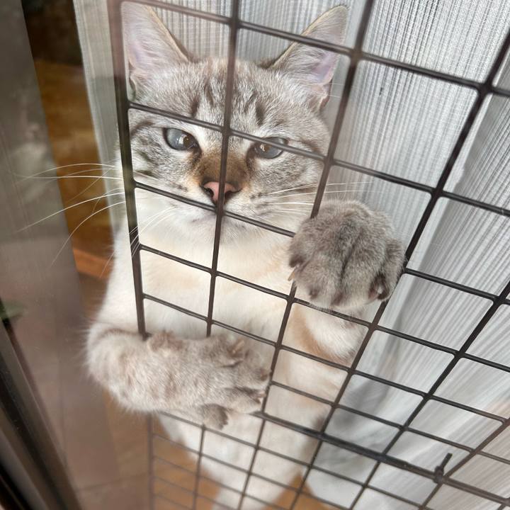 F28804af d550 4a29 8424 a0f10084172f 1741823481747