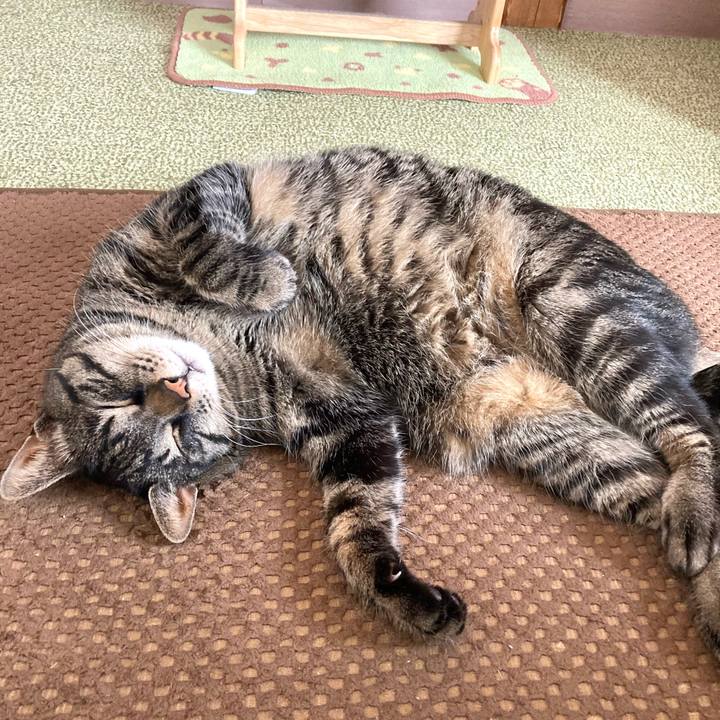 F2881bf4 2994 445a 9f38 0bb63cfe26ae 1651628831939