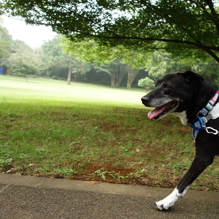 F28826b9 45be 44a9 b50d 7d82bcf21421 1751932611836