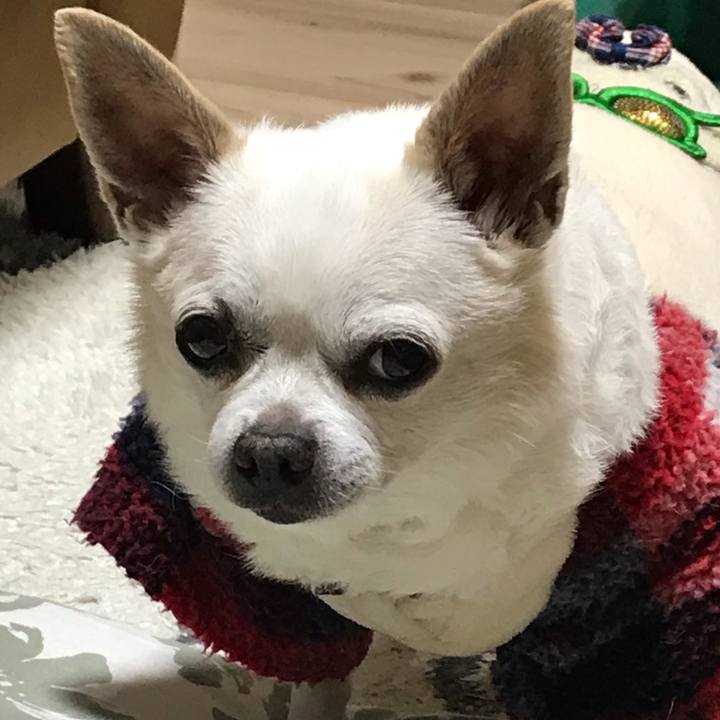 F2882f0c db86 4de2 a394 12400d2ecc60 1616230889265