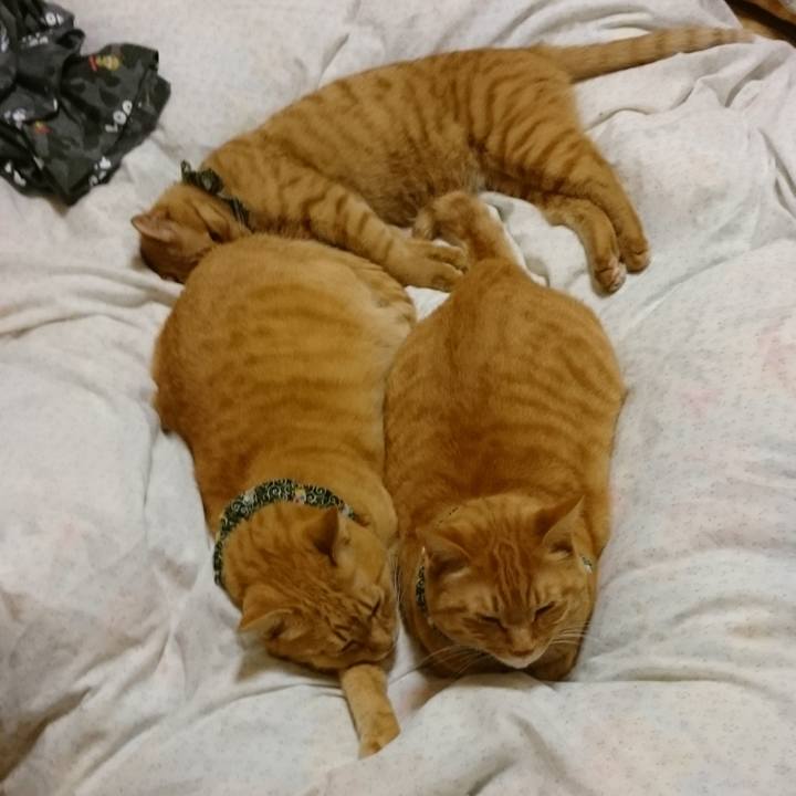 F28841f2 0ab6 4211 bfed d923aa1eaca7 1580295202320