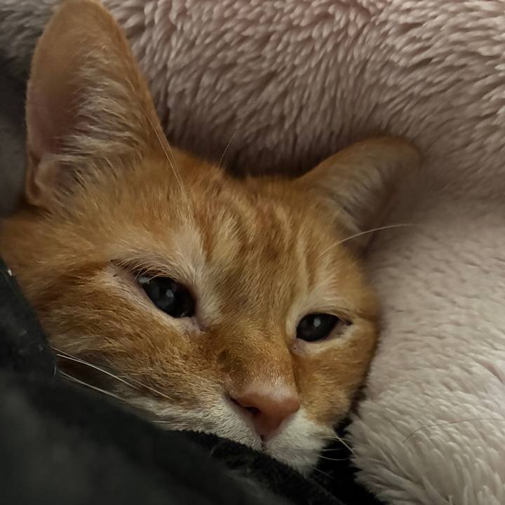 F2885e43 b0b6 400a a786 00522a5b5ff1 1773739978577