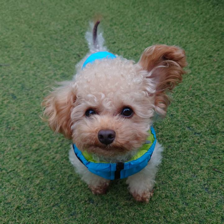 F288880e e144 47c3 b9c4 4af643d5496c 1771058457277