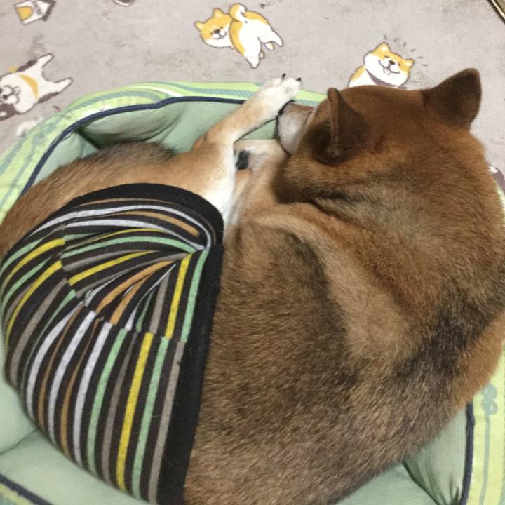 F288bc4f d5b2 42cf 8d0c 6ce16e55e7db 1611408223008