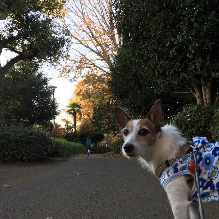 F288dade 9c36 4a64 bb1c fbb079d2c418 1606012725800